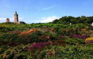 Cap Fréhel... sans commentaire
Légende de RP